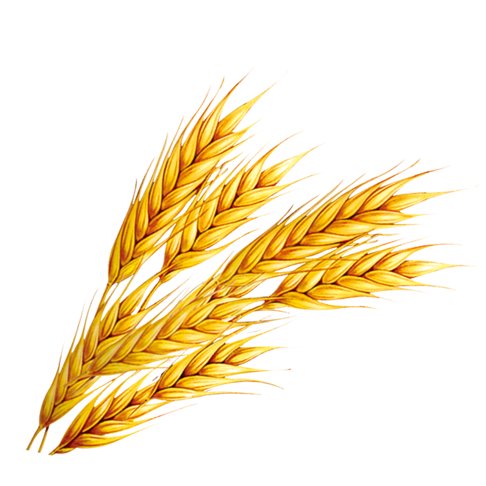 Злаки