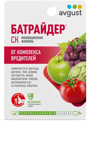 Батрайдер