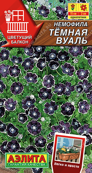 Сказочная красотка 