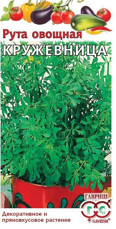 Кружевница