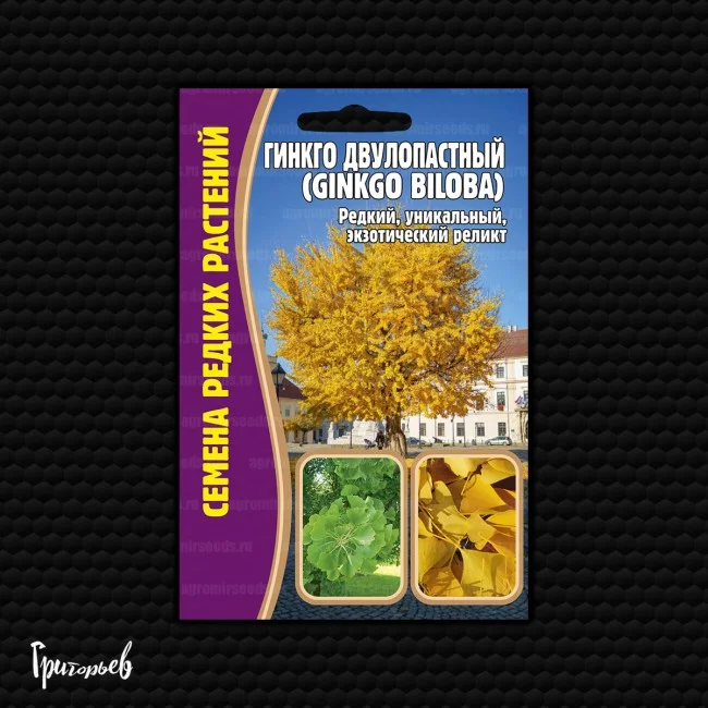 Двулопастный