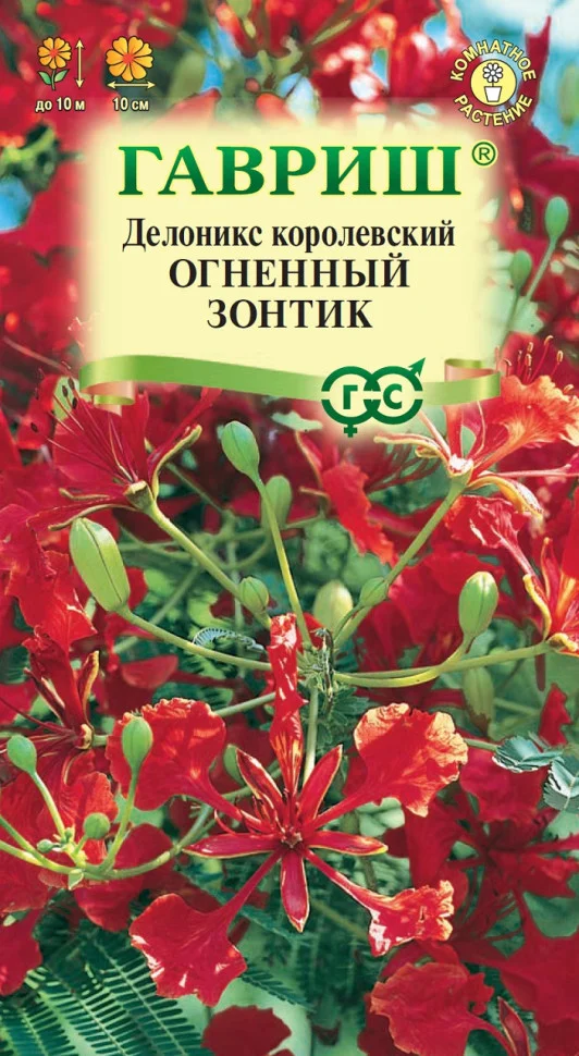 Огненный зонтик