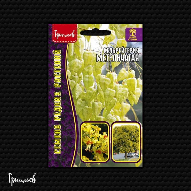 Метельчатая