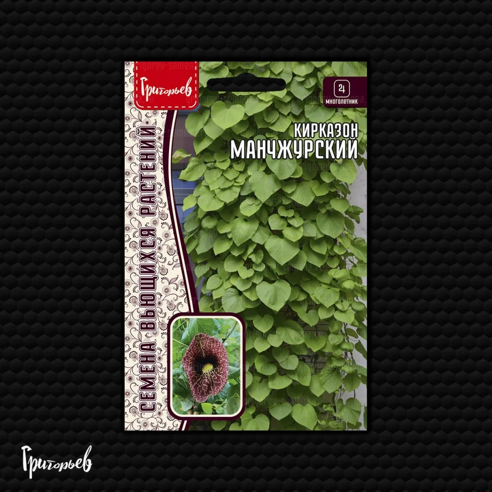 Манчжурский