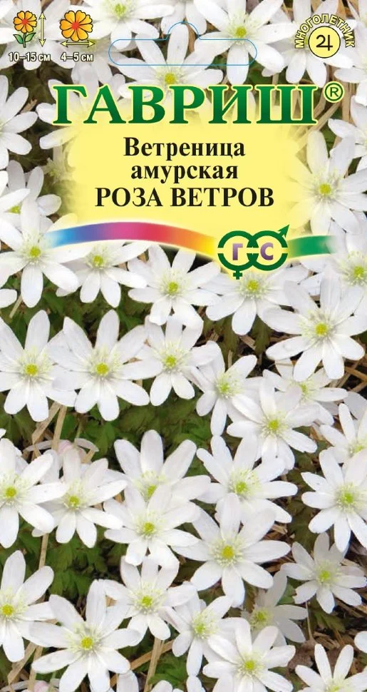 Роза ветров