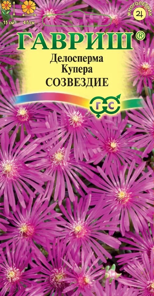 Созвездие