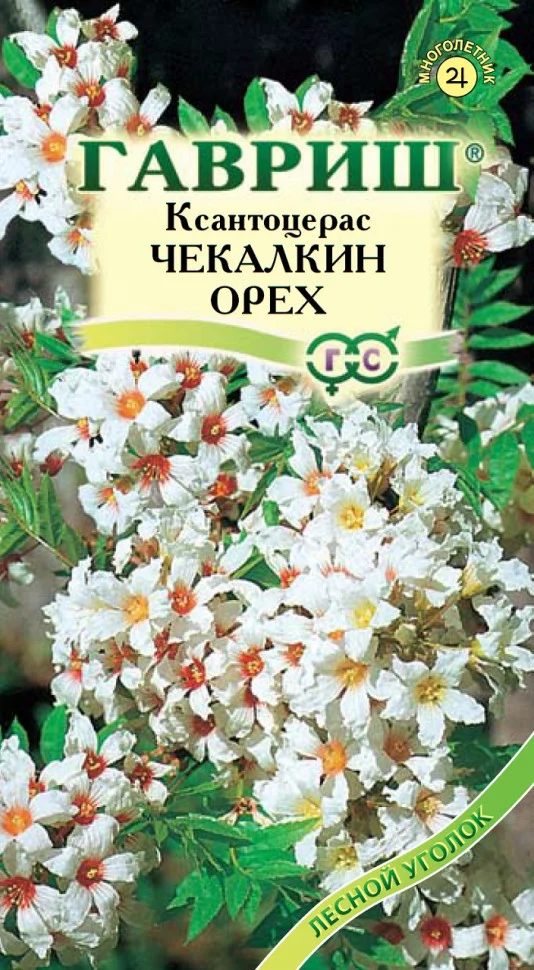 Чекалкин орех