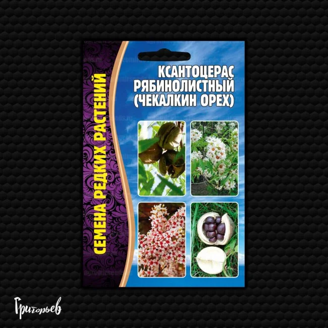 Рябинолистный