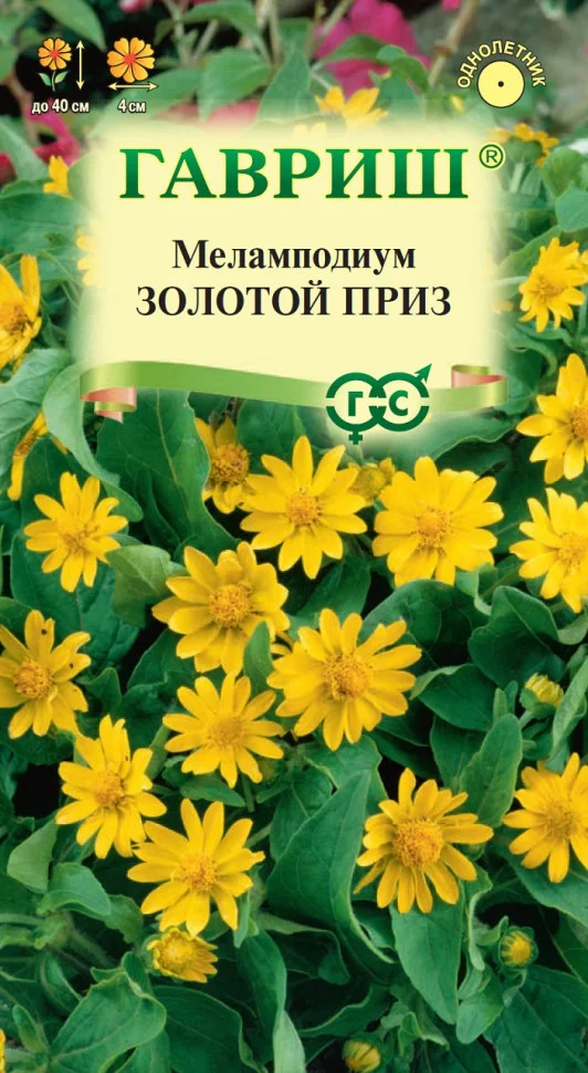 Золотой приз