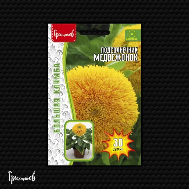 Миниатюра изображения сорта Медвежонок