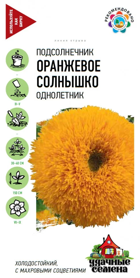 Оранжевое солнышко