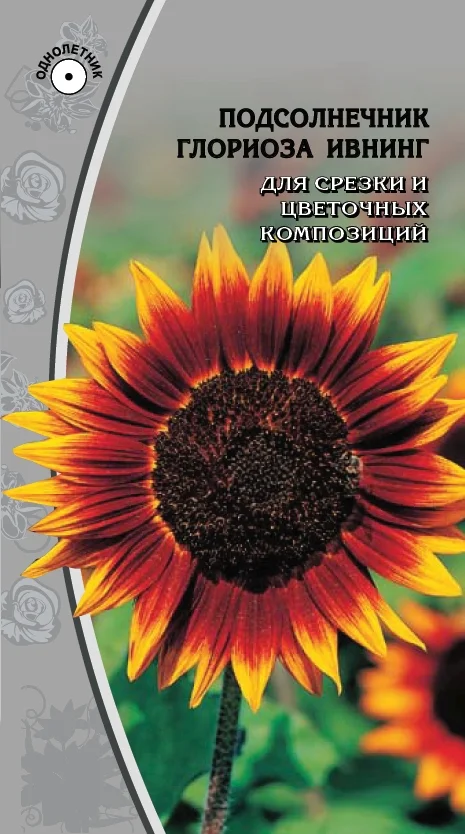 Миниатюра изображения сорта Глориоза Ивнинг