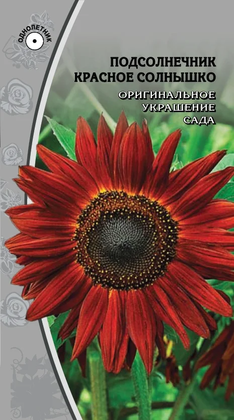 Миниатюра изображения сорта Красное солнышко