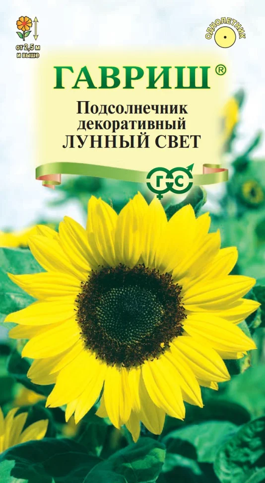 Лунный свет