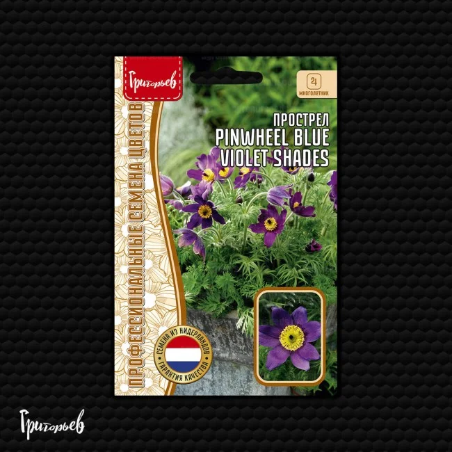 Pinwheel Blue Violet Shades