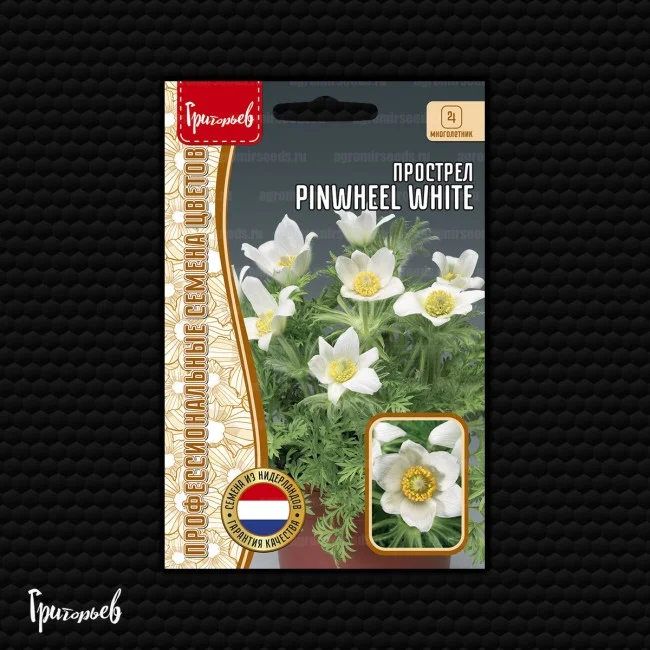 Pinwheel White