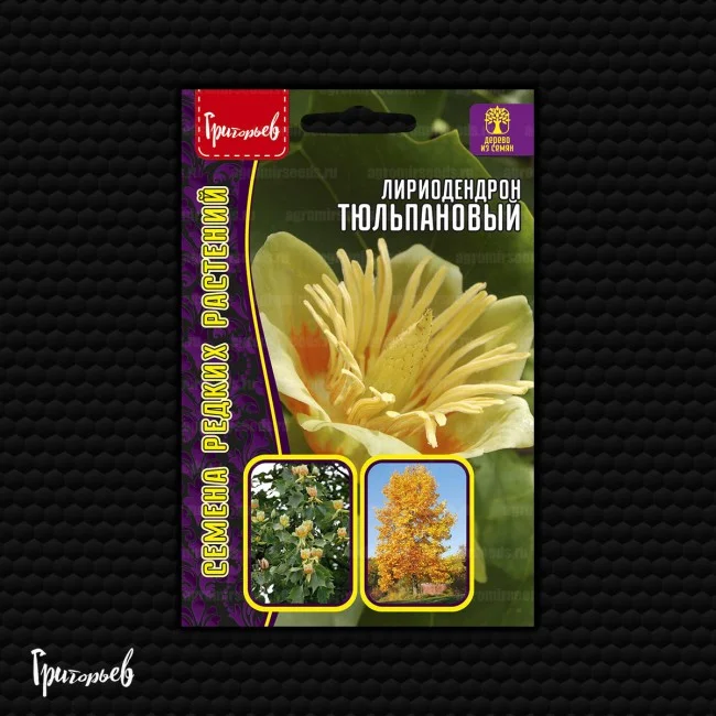 Тюльпановый