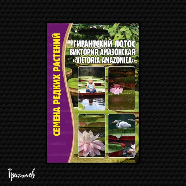 Гигантский Виктория Амазонская