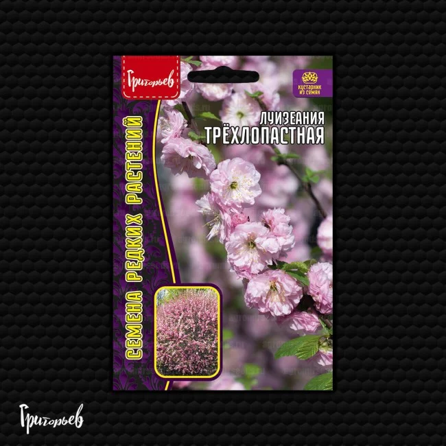 Трёхлопастная