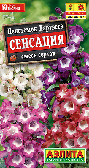 Сенсация
