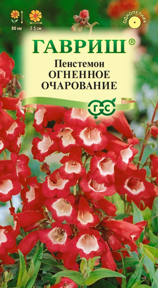 Огненное очарование