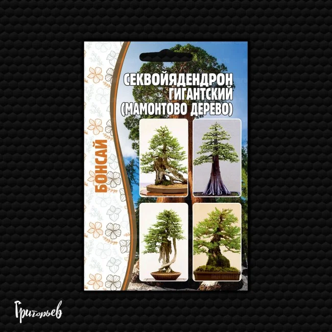 Мамонтово дерево