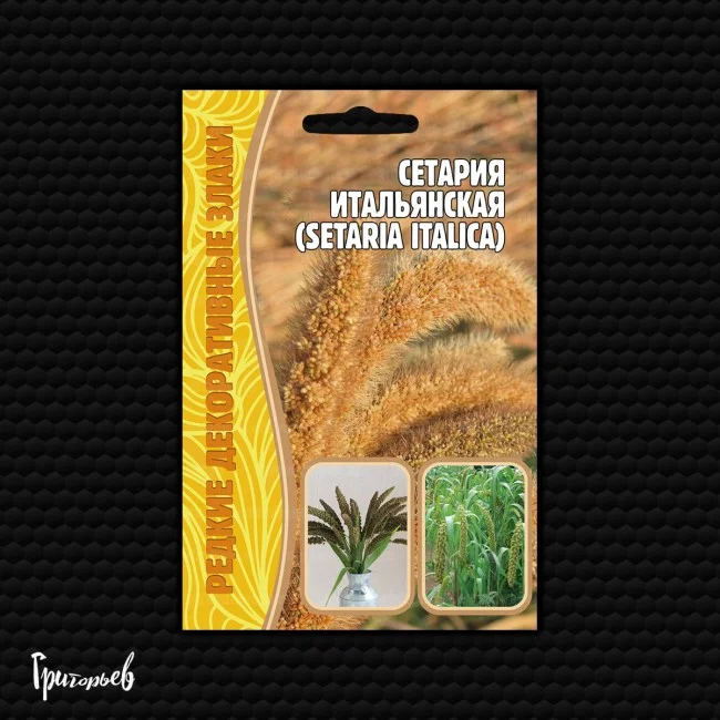 Итальянская