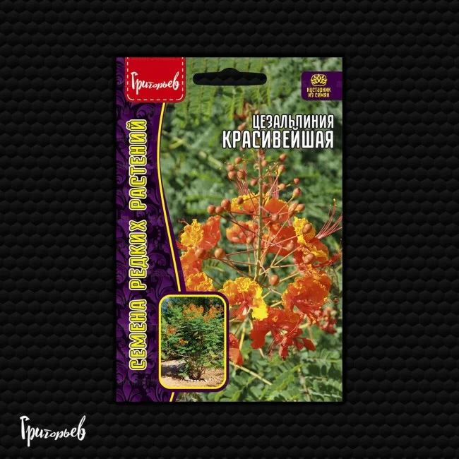 Красивейшая