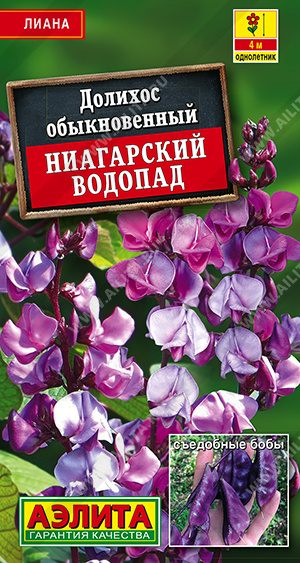 Ниагарский водопад