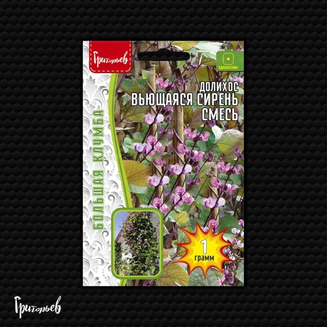 Вьющаяся Сирень