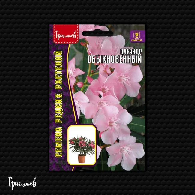 Миниатюра изображения сорта Цитрон