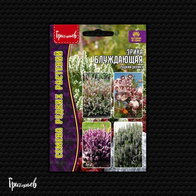 Блуждающая