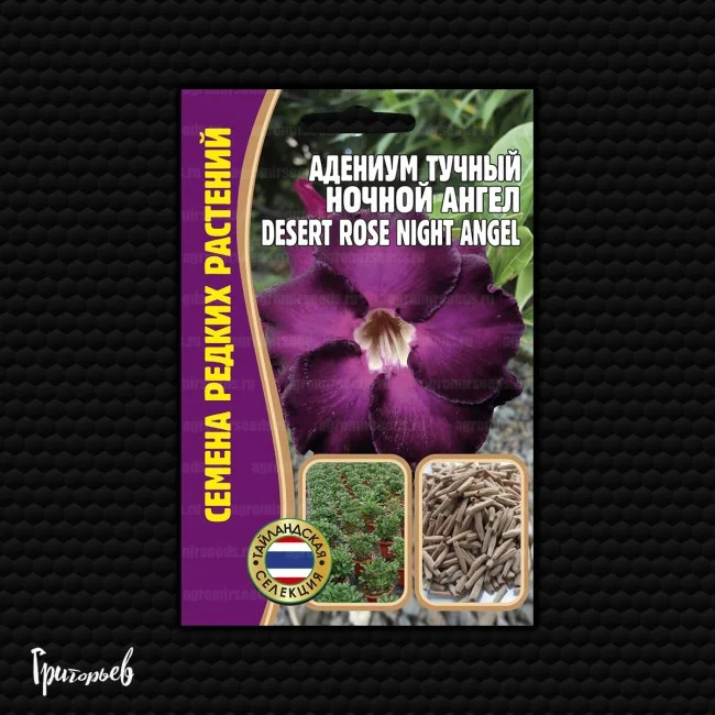 Толстолистный