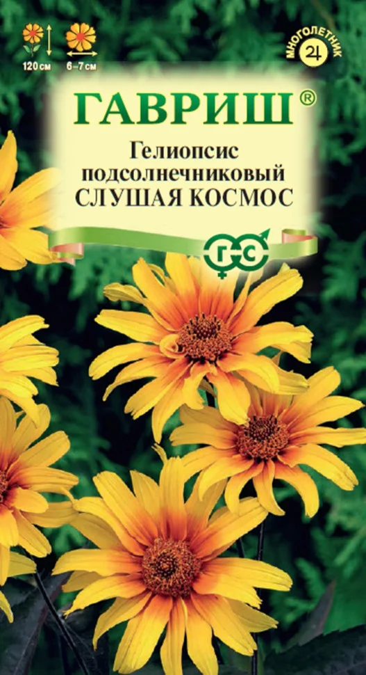 Слушая космос