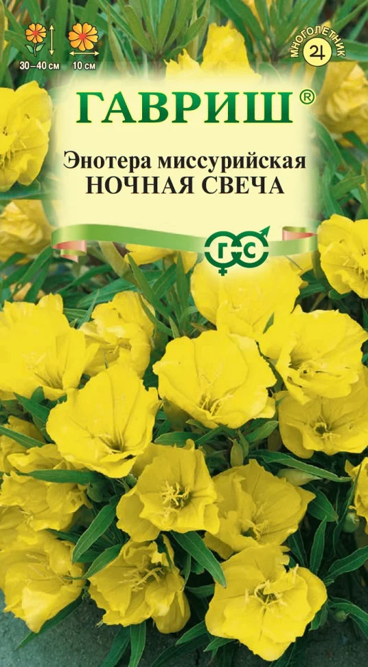 Ночная свеча