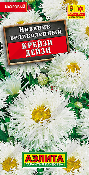 Крейзи Дейзи