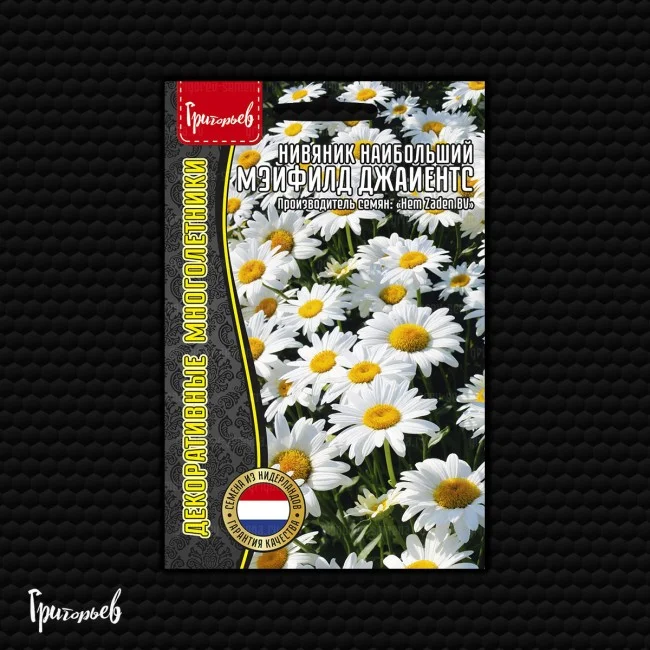 Мэйфилд Джайентс