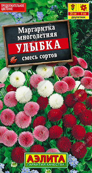 Улыбка махровая помпонная