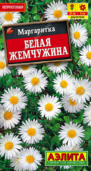 Белая жемчужина