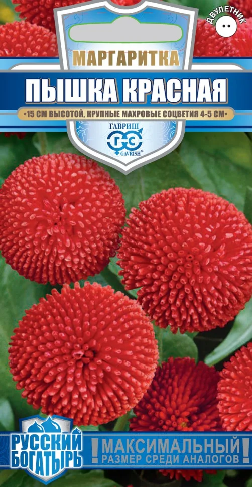 Пышка красная