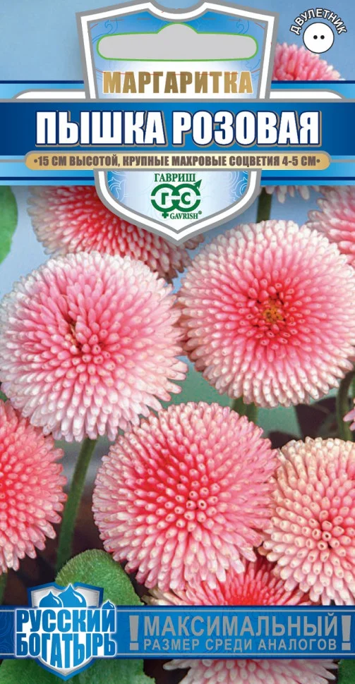 Пышка розовая