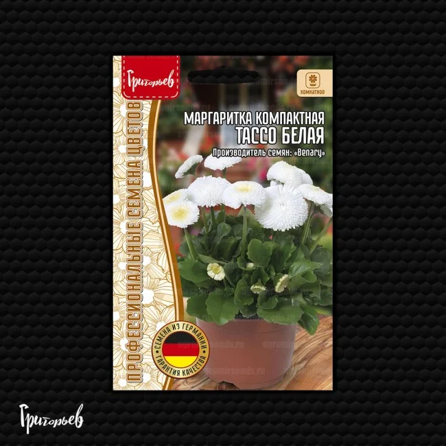 Тассо Белая