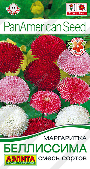 Беллиссима