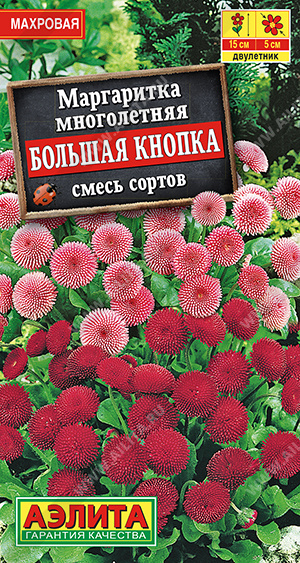 Большая кнопка