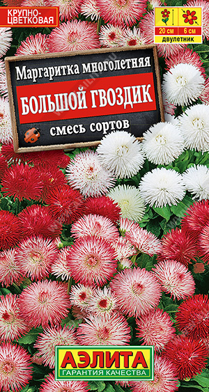 Большой гвоздик махровая