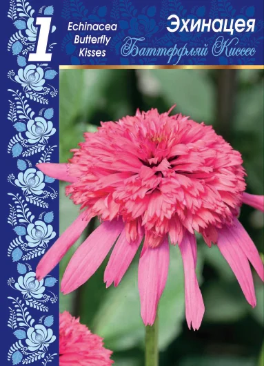 Баттерфлай Киссес