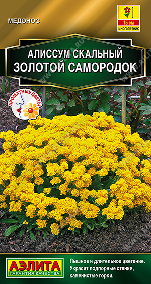 Золотой самородок