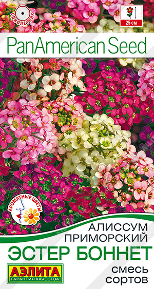 Эстер Бонет Вайт