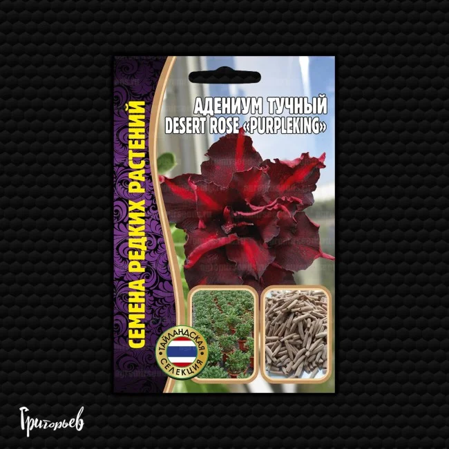 Easter Bonnet Violet