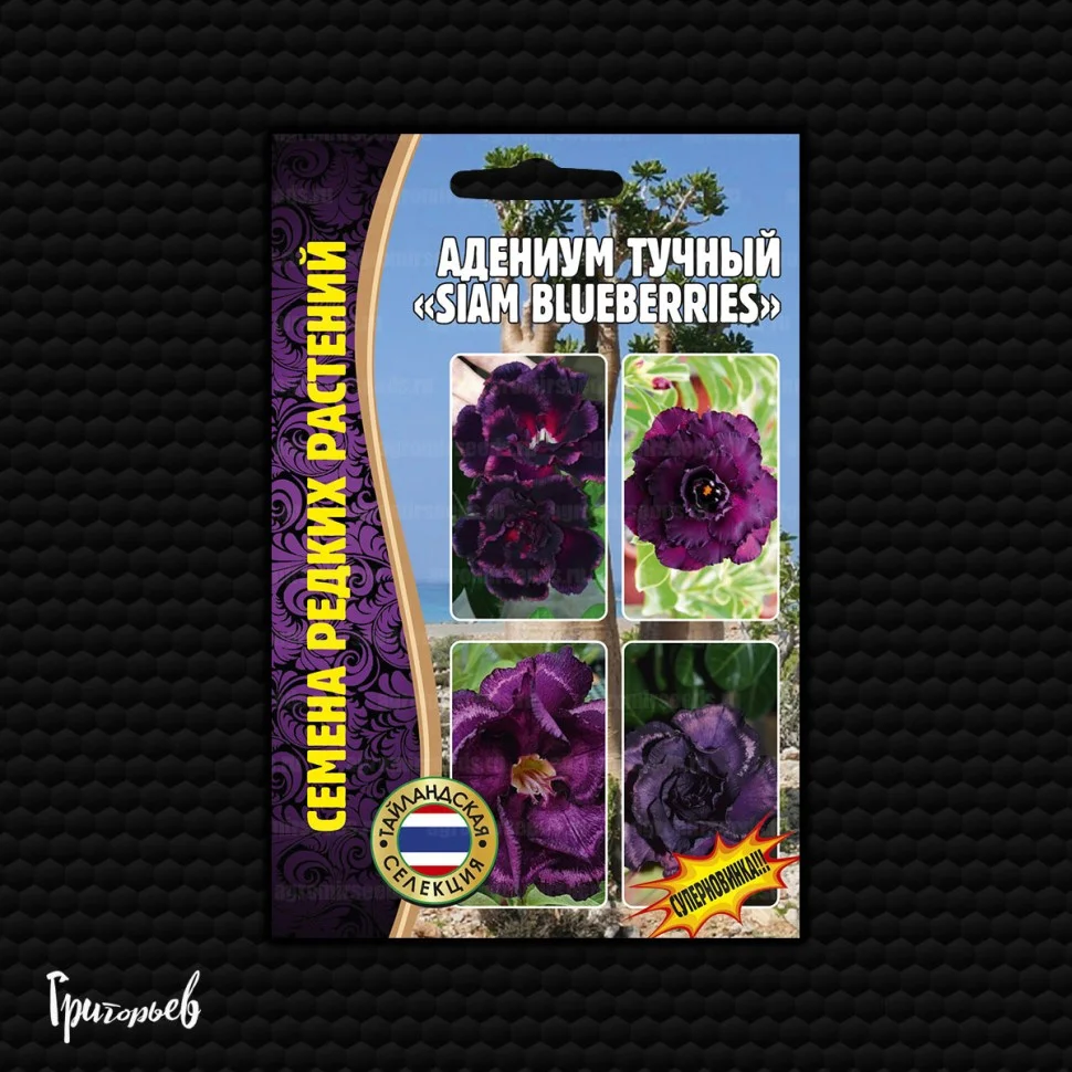 Новый Снежный Ковёр